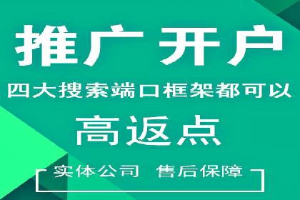 Sem优化公司案例：快速提升网站排名